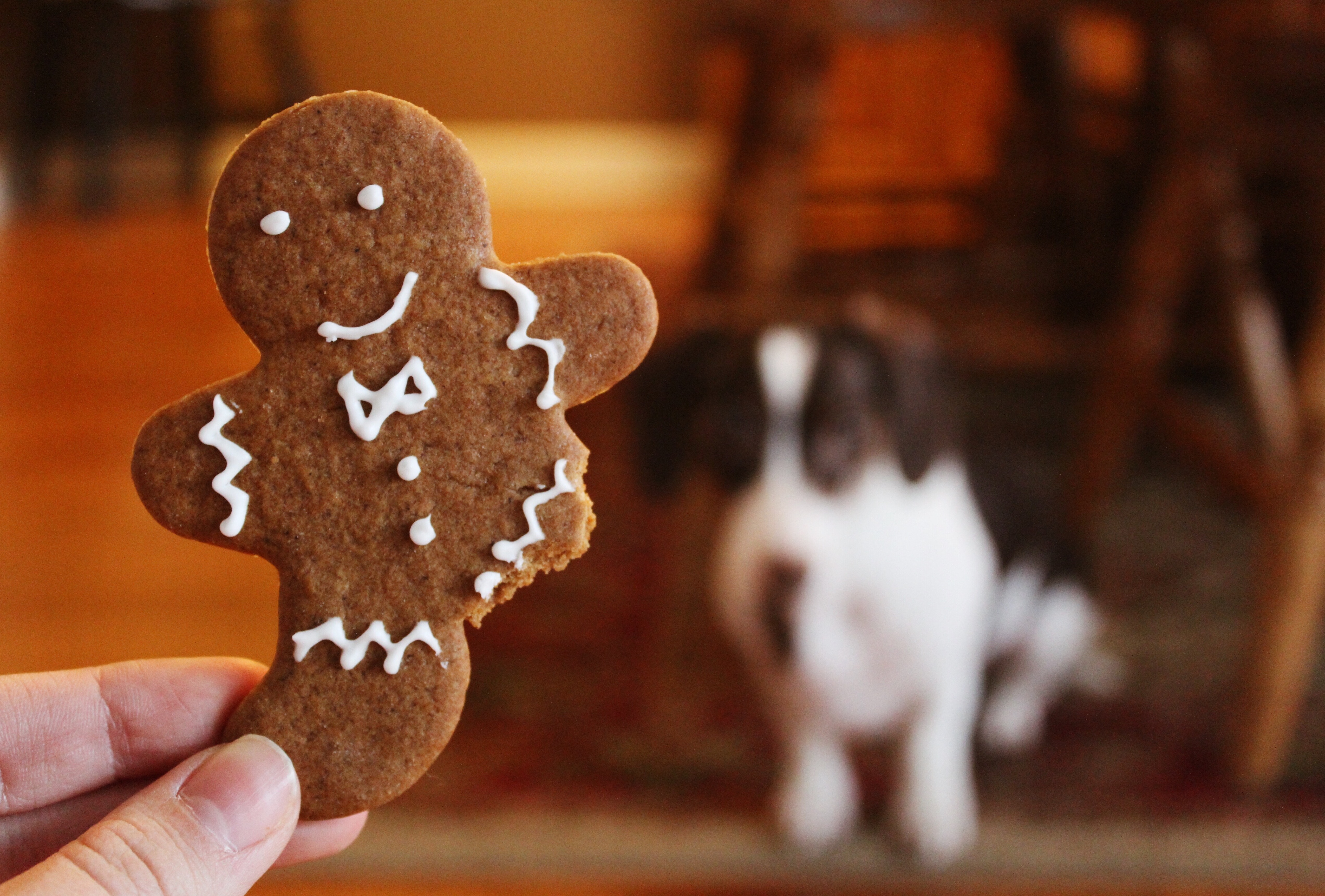 Lebkuchen Rezept | Lebkuchen backen | Kribbelbunt