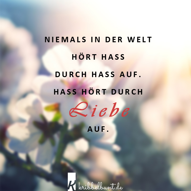 Nachdenken spruch Sprüche zum