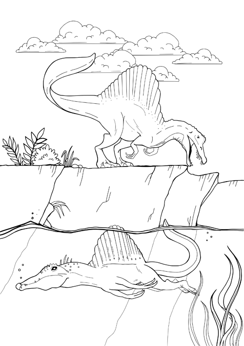 spinosaurus ausmalbild » pdfmalvorlage  kribbelbunt
