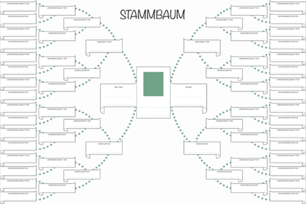 Stammbaum Vorlage Kostenlos Als Pdf Kribbelbunt