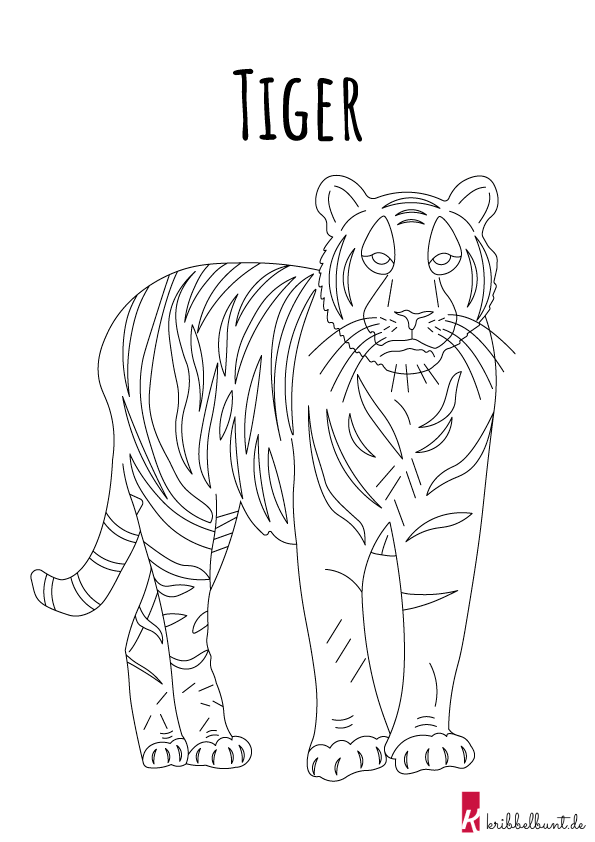 Ausmalbild Tiger Zum Ausdrucken Als Pdf Kribbelbunt